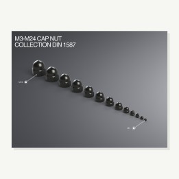 Écrou borgne imprimé M6 à M24 - lot de 4